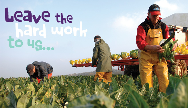 Leave the hard work to us